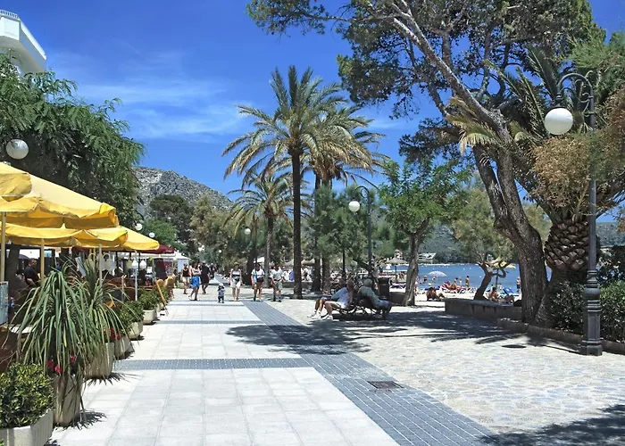 Owl Llenaire Petit - 3 Min Drive To The