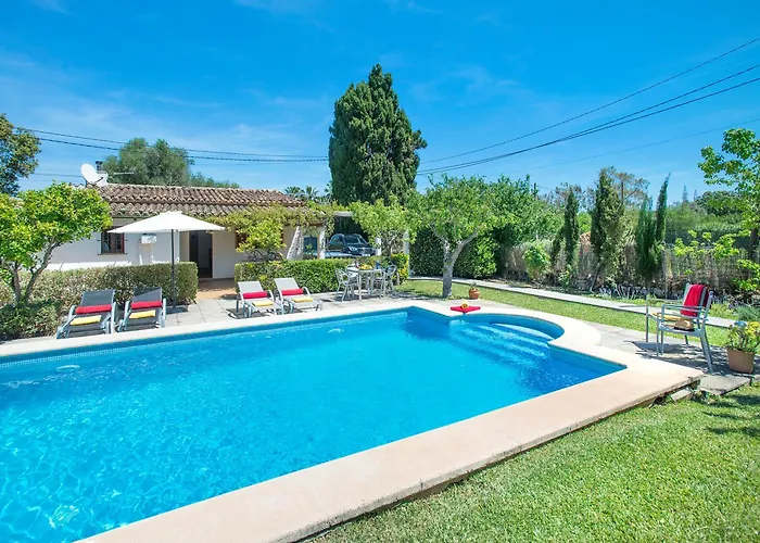 Owl Llenaire Petit - 3 Min Drive To The *