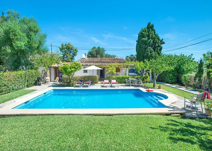 Owl Llenaire Petit - 3 Min Drive To The