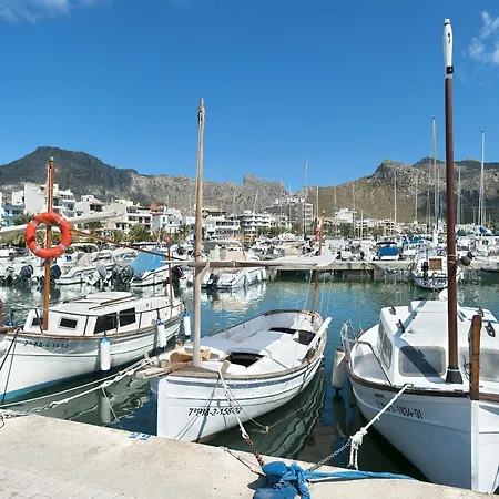 Owl Llenaire Petit - 3 Min Drive To The