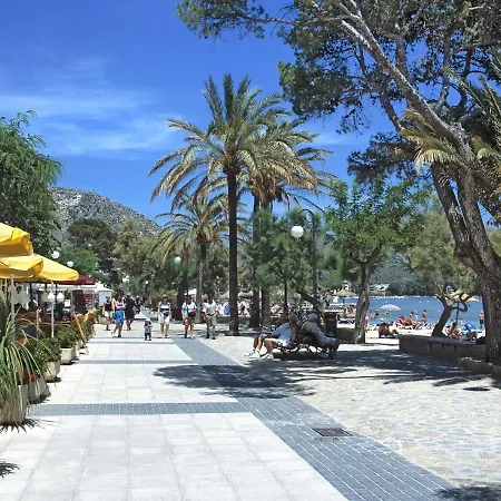 Owl Llenaire Petit - 3 Min Drive To The