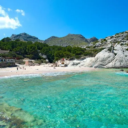 Owl Llenaire Petit - 3 Min Drive To The 波连萨港