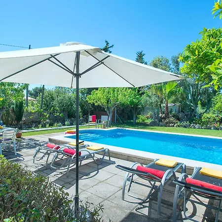 Owl Llenaire Petit - 3 Min Drive To The * 波连萨港