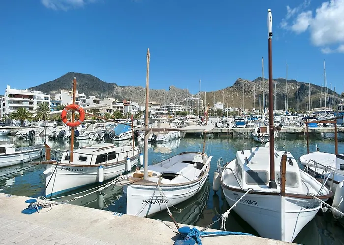 Owl Llenaire Petit - 3 Min Drive To The