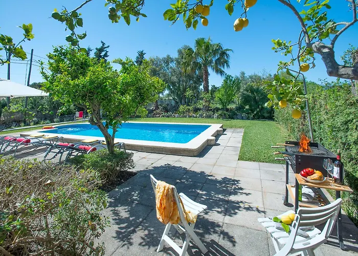 Owl Llenaire Petit - 3 Min Drive To The